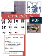 Cariotipo Del Sapo Común, Bufo Spinulosa