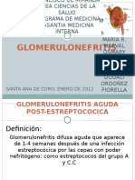 Glomerulonefritis ABELIN