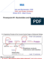 1-Nucleotides and Nucleic Acids