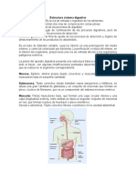 Estructura Del Sistema Digestivo Hasta Tipos de Redes