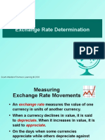 Determination of Foreign Exchange Chapter 4