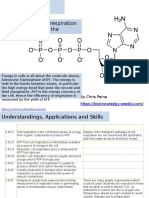 2.8 Cell Respiration IB BIo