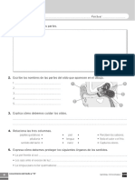 3 Primaria Conocimiento Del Medio Evaluación Tema 3