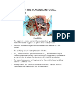 Functions of The Placenta in Foetal Development