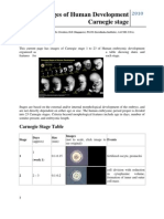 Carnegie Stages, Human Development