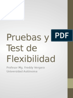 05 Pruebas y Test de Flexibilidad