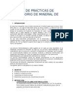 Informe de Practicas de Laboratorio de Mineral de Cu