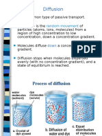 Diffusion & Osmosis