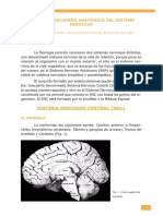 NEUROLOGIA