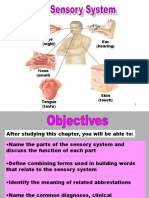 Sensory System