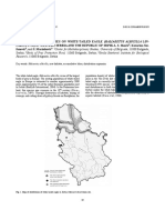 Contribution To The Studies On White-Tailed Eagle (Haliaeetus Albicilla) in Western Serbia (2007)