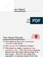 The Human Heart