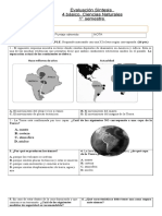 Prueba Sintesis Ciencias Naturales 4 Basico