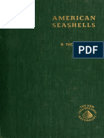 Americanseashell ABBOTT PDF