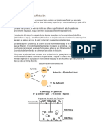 Fundamentos de La Flotación