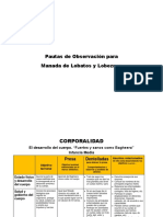 Pautas de ObservaciÃ N Manada