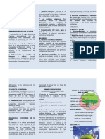 Triptico Desarrollo Sostenible Listo