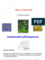 Salmonella 2015 - BSC Blackboard