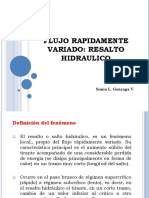 Flujo Rápidamente Variado PDF