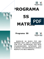 Programa 5s Geral