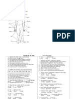 Vocabulary Health and Body