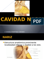 Cavidad Nasal 