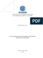 Monografia Hugo FINAL RBS PDF