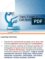 Biology: Topic 3 (Part 1) Cell Biology