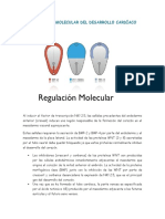 Regulación Molecular Del Desarrollo Cardíaco