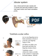 The Vestibular System