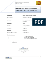 Evaluacion de Impacto Ambiental Pollo El Placer