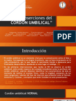 Preclinico Grupo 1, Tipos de Inserciones Del Cordon Umbilical