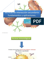 Técnicas de Interacción Secundaria - Fundamentos y Aplicaciones