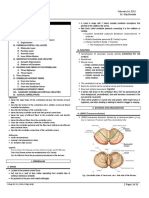 Anat 6.6 Cerebellum - Deriada