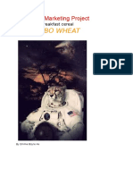 Turbo Wheat: Enterprise Marketing Project