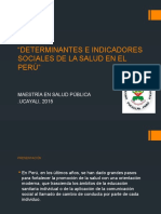 Determinantes e Indicadores Sociales de La Salud