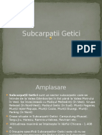 Subcarpatii Getici