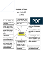 Mapa Mental NORFLOXACINO Elza PDF