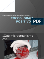 Cocos Gram Positivos