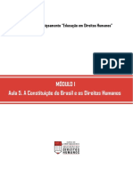 A Cosntituição Brasileira e Os Direitos Humanos