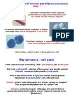 Cell Cycle