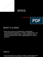 Project Onbirds