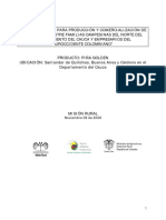 Preinversion Pina Cauca PDF