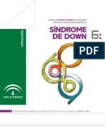 Guía Sobre Síndrome de Down