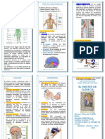 Triptico Sistema Nervioso - SUPERNET