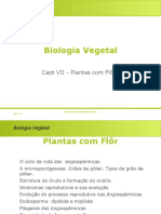 Biologia Vegetal PDF