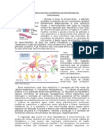 Enteder A Homeostase e Ligaçao Entre o Sistema Endocrino e Nervoso