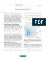 Sds Page Problem PDF