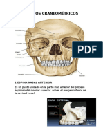 Puntos Craneométricos