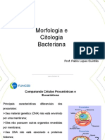 Morfologia e Citologia Bacteriana